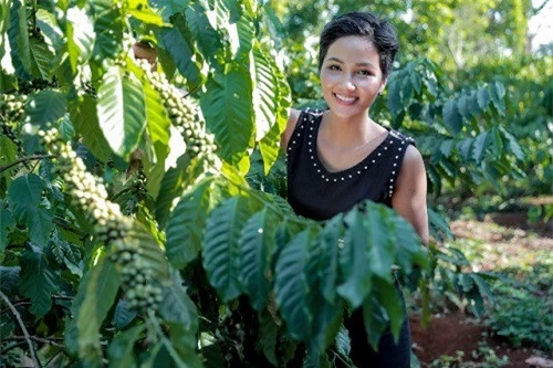 Công chúng phát cuồng H’Hen Nie vì cô ấy mang một trái tim ấm nóng, nhạy cảm, biết chia sẻ, cảm thông với mọi người, với cộng đồng. Công chúng phát cuồng H’Hen Nie vì cô ấy mang một trái tim ấm nóng, nhạy cảm, biết chia sẻ, cảm thông với mọi người, với cộng đồng.