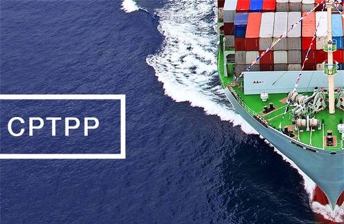 Thủ tướng phê duyệt Kế hoạch thực hiện Hiệp định CPTPP