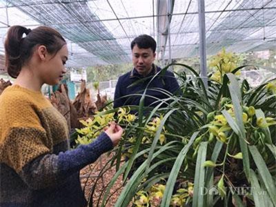 Trót 'phải lòng' hoa lan, 8X xứ Lạng mở nhà vườn lãi 20 triệu/tháng