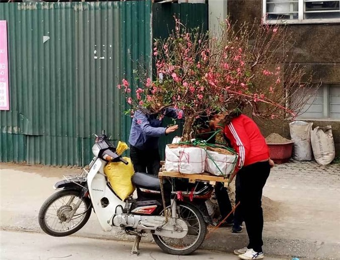 Bao t&#x1EA3;i &#x111;&#x1EA5;t b&#xED; &#x1EA9;n, &#x111;&#x1ED9;c chi&#xEA;u ki&#x1EBF;m 1 tri&#x1EC7;u/ng&#xE0;y c&#x1EE7;a b&#xE1;c xe &#xF4;m Nh&#x1EAD;t T&#xE2;n