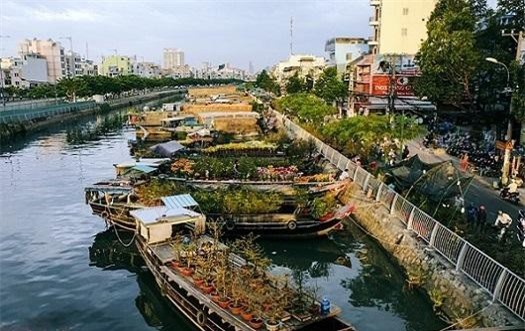 TPHCM: Dọc Bến Bình Đông xem chợ hoa ngày tết 