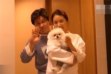 Clip: Chi phí nuôi con quá cao, vợ chồng Hàn Quốc chuyển sang nuôi thú cưng