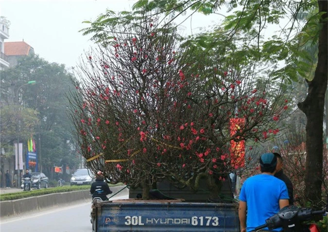 Bao tải đất bí ẩn, độc chiêu kiếm 1 triệu/ngày của bác xe ôm Nhật Tân