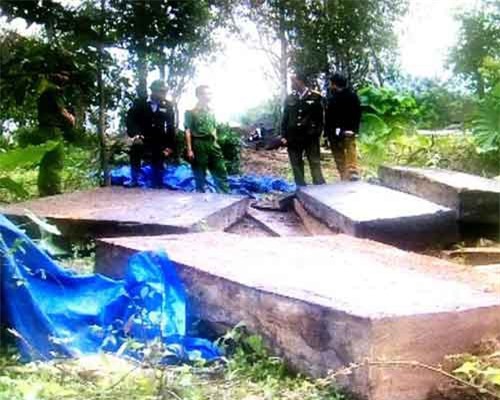 Phát hiện bãi gỗ lậu quy mô lớn 'núp' trong xưởng mộc