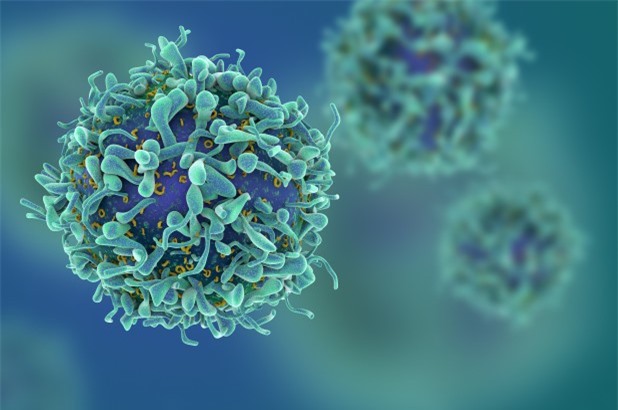 Nhóm nhà khoa học Israel tuyên bố sẽ chữa được ung thư trong 1 năm nữa