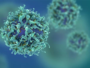 Nhóm nhà khoa học Israel tuyên bố sẽ chữa được ung thư trong 1 năm nữa