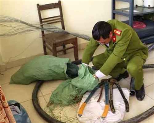 Bắt giữ 2 'đạo chích' đột nhập Nhà máy nhiệt điện Thái Bình 2 trộm cắp