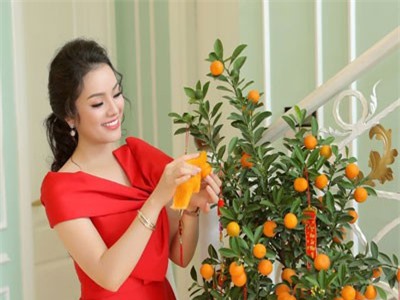 C&#x103;n h&#x1ED9; b&#x1EA1;c t&#x1EF7; d&#xE1;t v&#xE0;ng c&#x1EE7;a T&#xE2;n Nh&#xE0;n r&#x1EF1;c r&#x1EE1; ng&#xE0;y c&#x1EAD;n T&#x1EBF;t