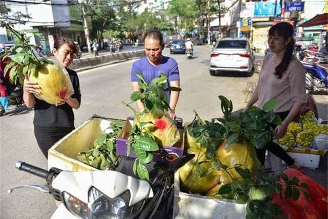 Độc, lạ: Bưởi “khủng” 13kg/quả, giá bạc triệu hút khách chơi Tết - 7