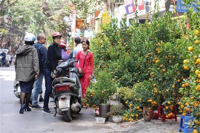 Ngàn hoa khoe sắc đón Xuân tại con đường hoa lớn nhất Hà Nội - 2