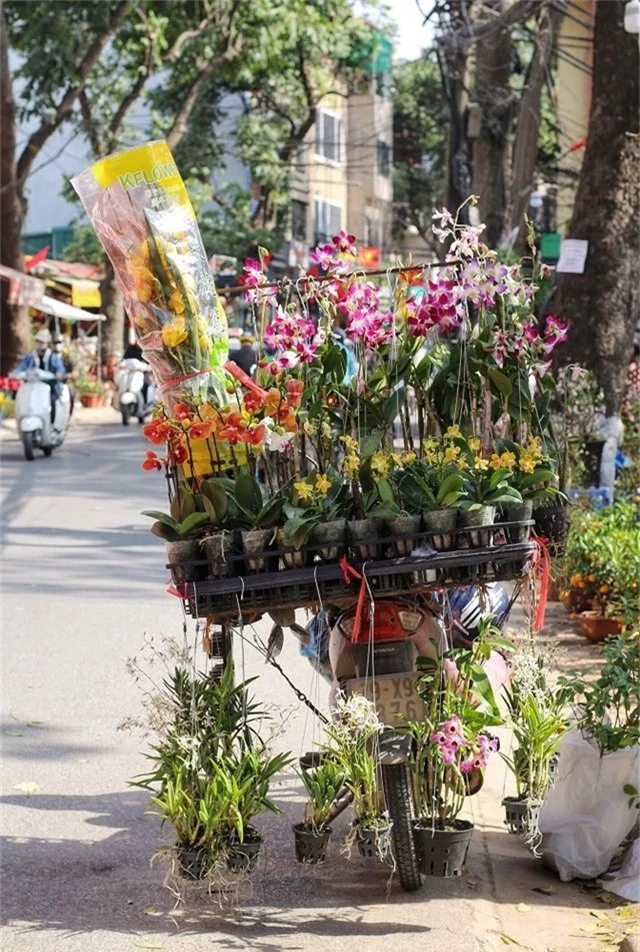 Ngàn hoa khoe sắc đón Xuân tại con đường hoa lớn nhất Hà Nội - 3
