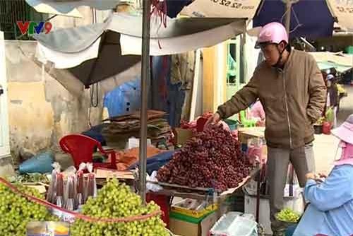Giá táo, nho Ninh Thuận giảm mạnh dịp cận Tết