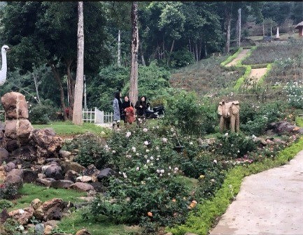 Du xuân ở vườn hồng lớn nhất Việt Nam