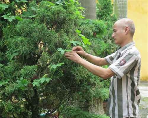 Nỗi niềm nam phạm nhân 45 tuổi lỡ tay thiêu chết 'vợ hờ'