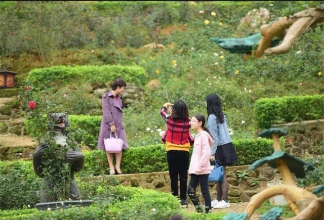  Khách tham quan chụp ảnh ở Vườn hồng.