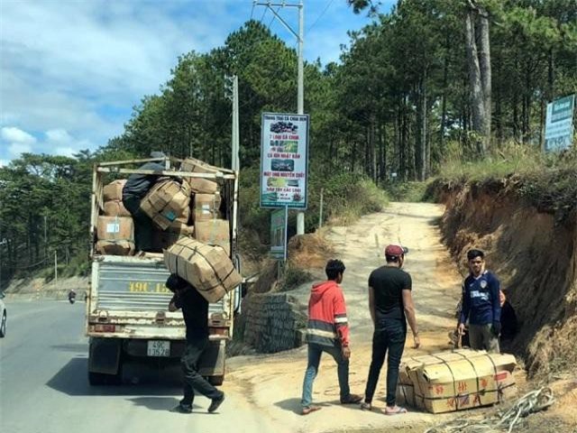 Người trồng hoa Đà Lạt khấp khởi nhận tin vui