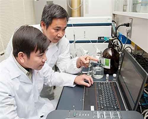 Nhà khoa học Việt tìm ra chất chống tiểu đường trong gạo trắng