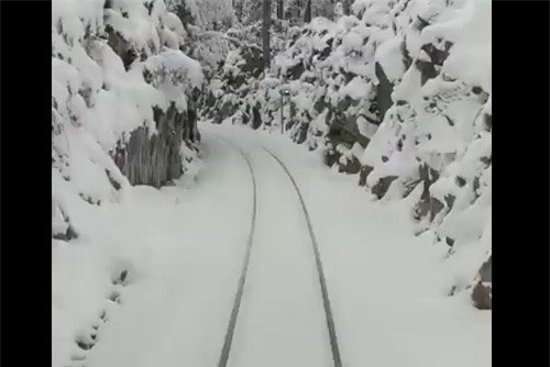 Clip: 'Ngẩn ngơ' với khung cảnh thần tiên của khu rừng lá kim phủ đầy tuyết