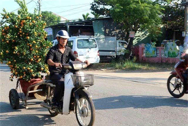 Hốt bạc những dịch vụ ngày Tết