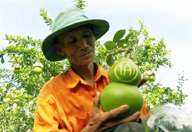 chuyen la hau giang: 