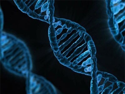 Thiếu ngủ và thức giấc vào ban đêm có nguy cơ làm hỏng cấu trúc DNA