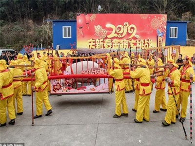 Gặp Vua lợn 2019 nặng cả tấn, cần tới 24 người khiêng