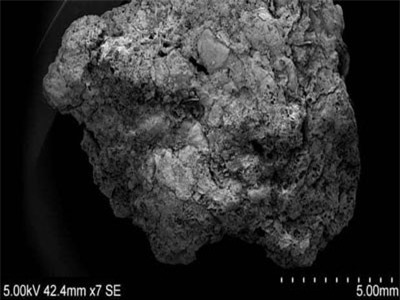 Tìm thấy bằng chứng về 'bia Anh đầu tiên' ở Cambridgeshire