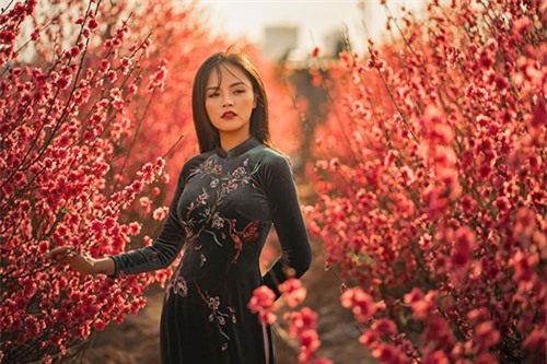 Thu Quỳnh khoe dáng nõn nà giữa vườn đào Nhật Tân