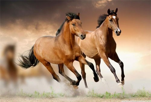 Top 3 con giáp được Thần Tài gõ cửa, thoải mái tận hưởng cuộc sống an nhàn tháng 2/2019 Dương lịch