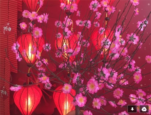 "Về nhà đi em, để thấy tóc mẹ đã thêm nhiều sợi trắng"