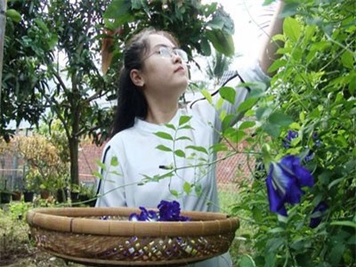 Cô giáo 9X ở làng hoa Sa Đéc khởi nghiệp với trà hoa