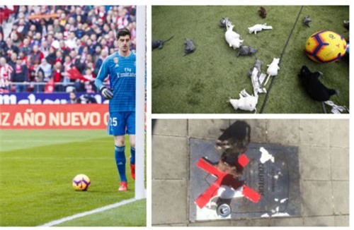 Courtois bị fan Atletico tấn công bằng chuột bông