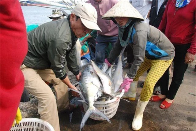 Trúng mẻ cá khủng 100 tấn ngày đầu năm, thu về gần 6 tỷ đồng - 3