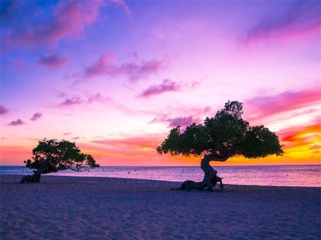 Bãi biển Palm Eagle, Aruba: Nằm trong Top những bài biển đẹp nhất thế giới, Palm Eagle là một nơi hò hẹn tuyệt vời dành cho những cặp đôi muốn dành thời gian riêng tư bên nhau.