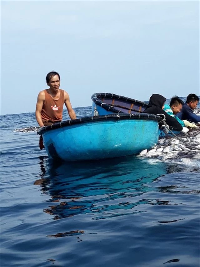 Tận mắt nhìn mẻ cá “siêu khủng” 100 tấn trong lưới ngư dân Quảng Trị - 4