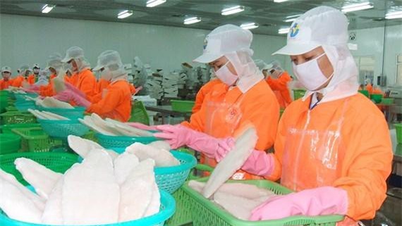 Xuất khẩu cá tra hướng tới mục tiêu 2,4 tỷ USD