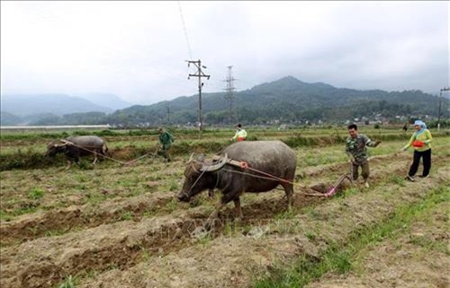 Đặc sắc lễ hội xuống đồng của người Giáy ở Bát Xát