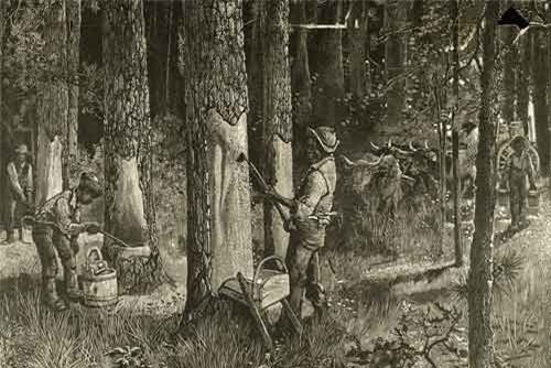 Bí ẩn vòng tròn đất 'của quỷ' kỳ lạ, cỏ cũng không thể mọc