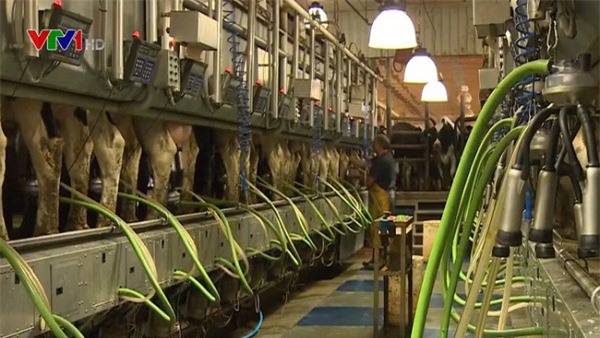 CPTPP tạo tăng trưởng XNK mạnh cho mặt hàng nào của VN vào Canada? 