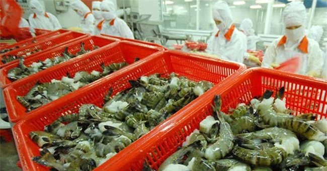 Xuất khẩu tôm Việt Nam sang Hàn Quốc: Dự kiến tăng gần 30% trong năm 2019