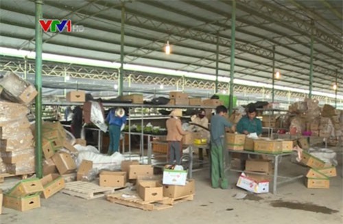 Hàng trăm công nhân Hà Tĩnh bị nợ lương