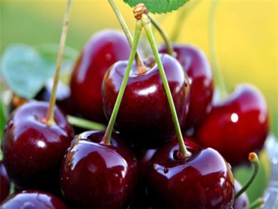 Những tác dụng không ngờ của quả cherry