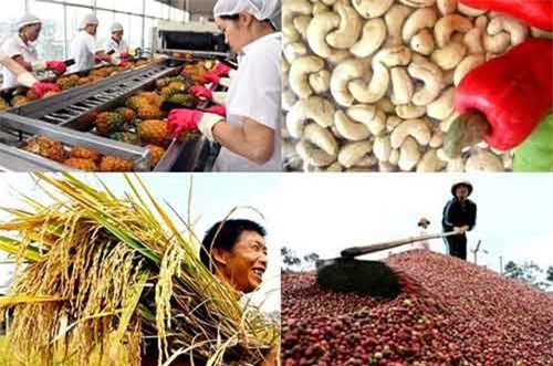 Xuất siêu ngành nông nghiệp giảm 20%