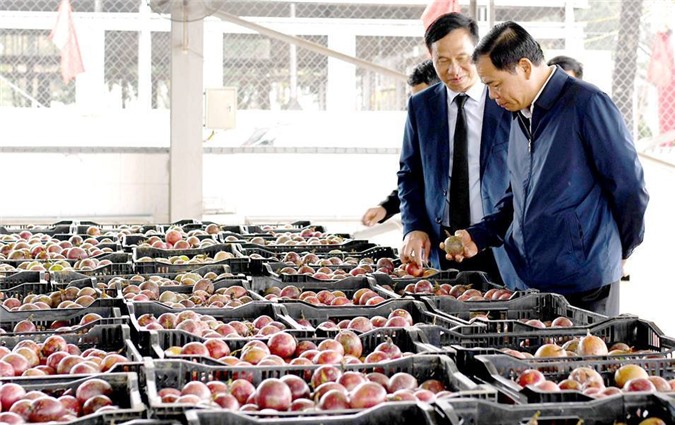 Tháng 1/2019, xuất khẩu nông lâm thuỷ sản ước đạt 3,2 tỷ USD