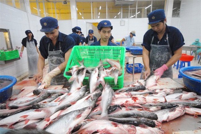 Thêm cơ hội xuất khẩu cá tra vào Mỹ