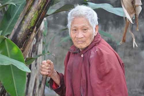 Nghẹn đắng cảnh cha già chống gậy đi tìm con trong bụi chuối