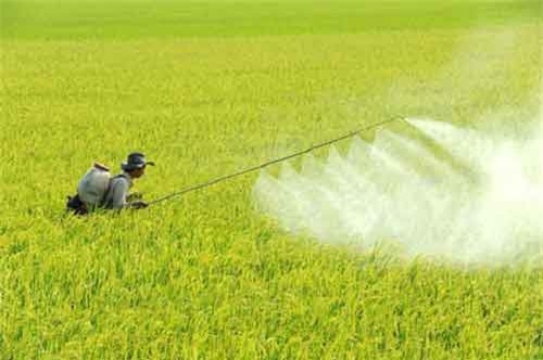 Loại bỏ 2 hoạt chất bảo vệ thực vật khỏi danh mục sử dụng tại Việt Nam