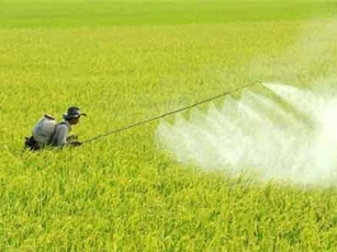 Loại bỏ 2 hoạt chất bảo vệ thực vật khỏi danh mục sử dụng tại Việt Nam