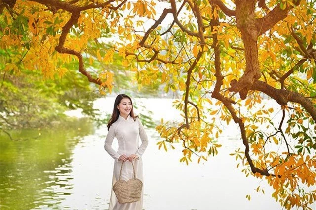 Thiếu nữ 9x tận hưởng vẻ lãng mạn mùa lộc vừng Hồ Gươm đổ lá vàng - 11