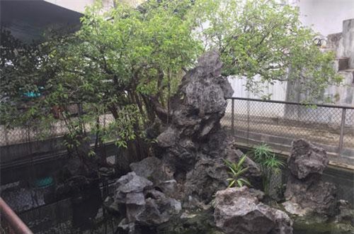 Sanh cổ của “bạo chúa miền Trung” được đồn chôn đầy vàng ở dưới